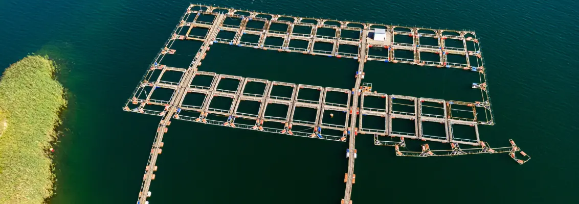Aquacultural Farm
